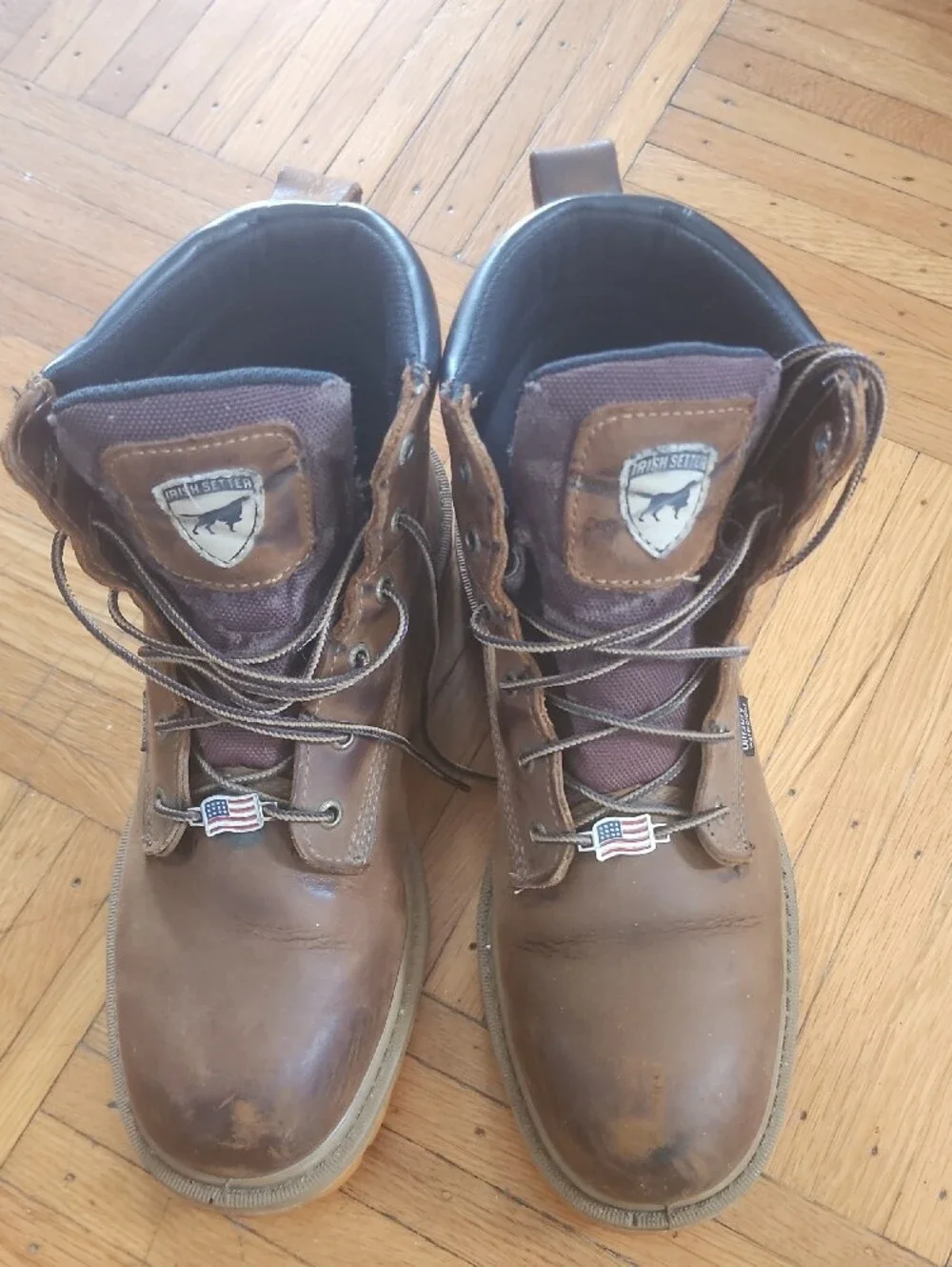 Irish Setter sturdy leather